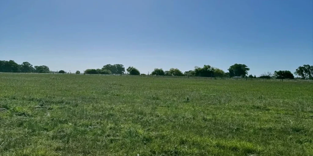 El lugar perfecto para desarrollar el hogar de tus sueño